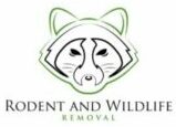 Lakewood Wildlife Removal